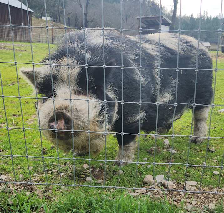 Photo of Junior