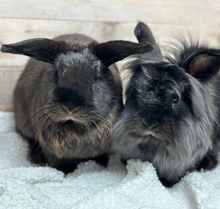 Photo of Luna & Fabio