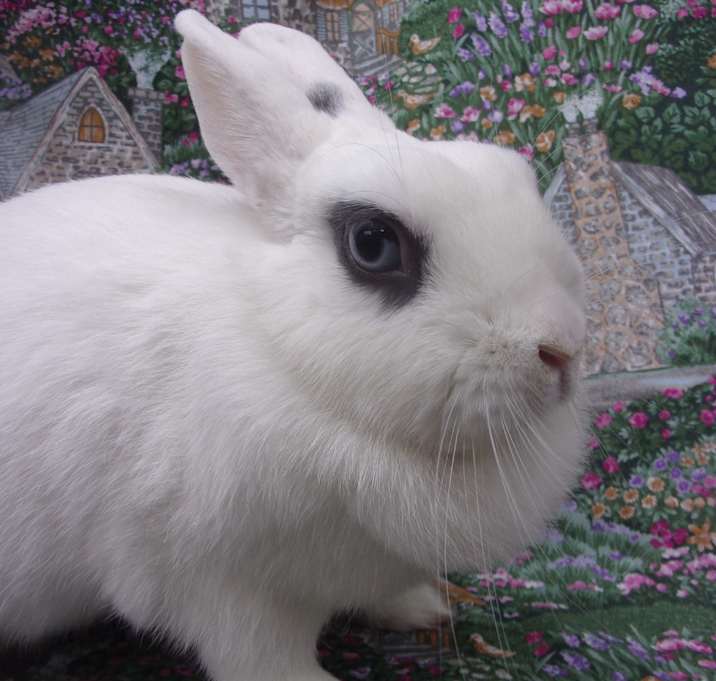 Photo of Suzy Q