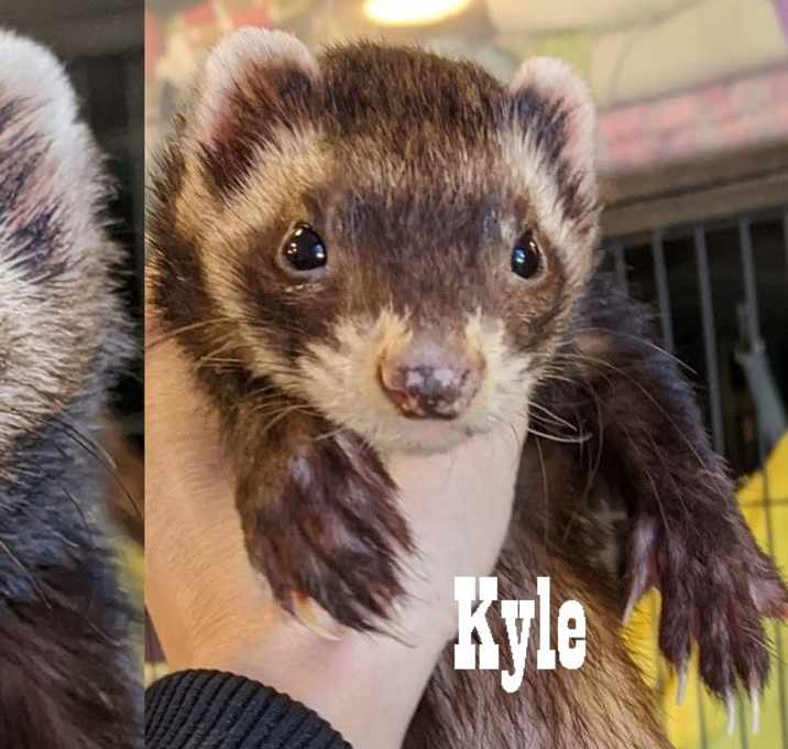 Photo of Thelma & Kyler