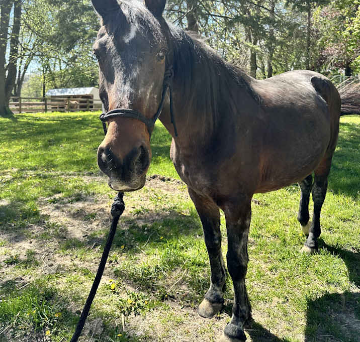 Photo of Candy