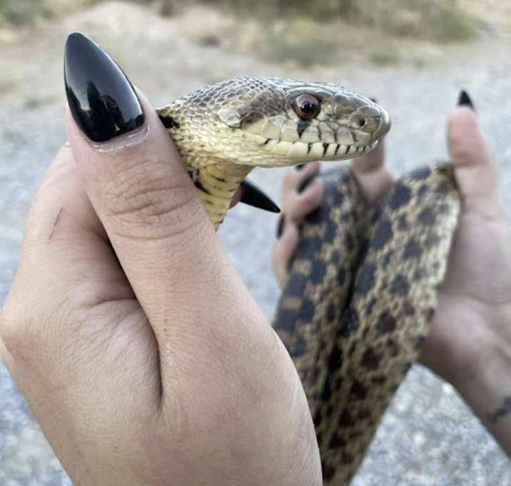 Photo of Handsome Man