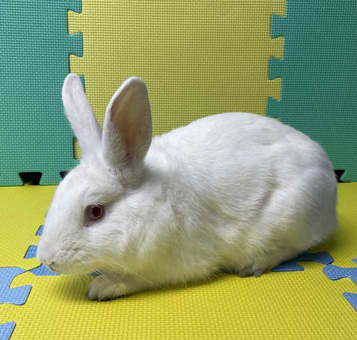 Photo of Mannie