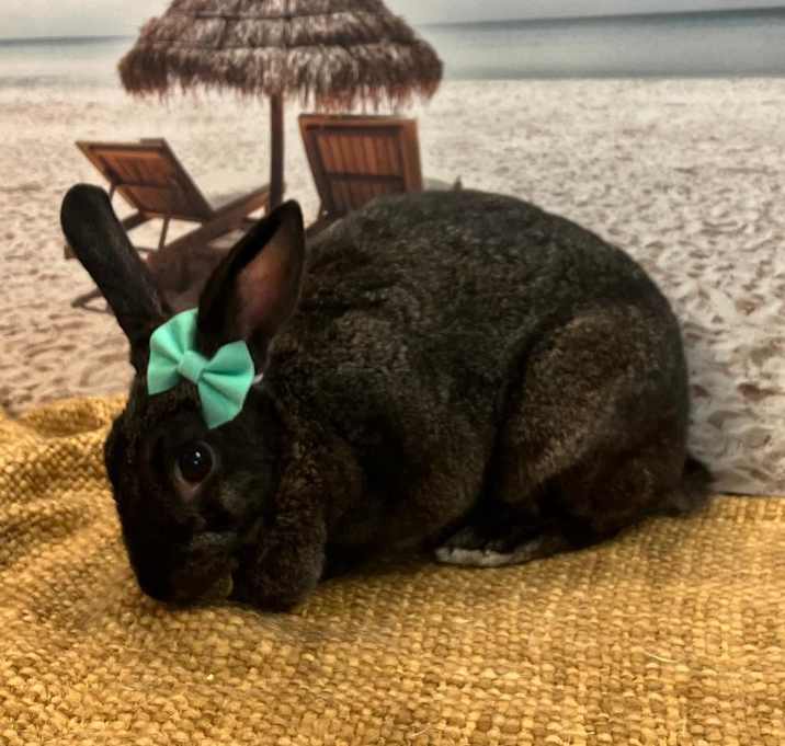 Photo of Sabrina