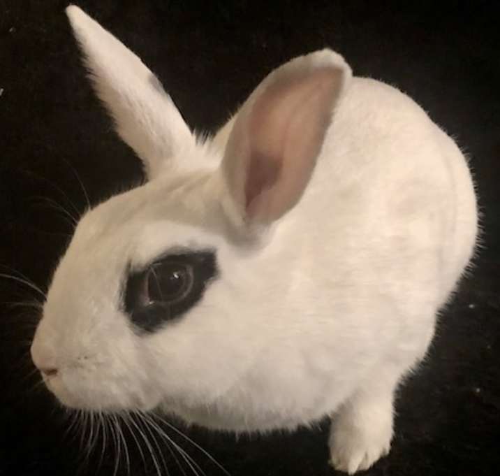 Photo of Azula
