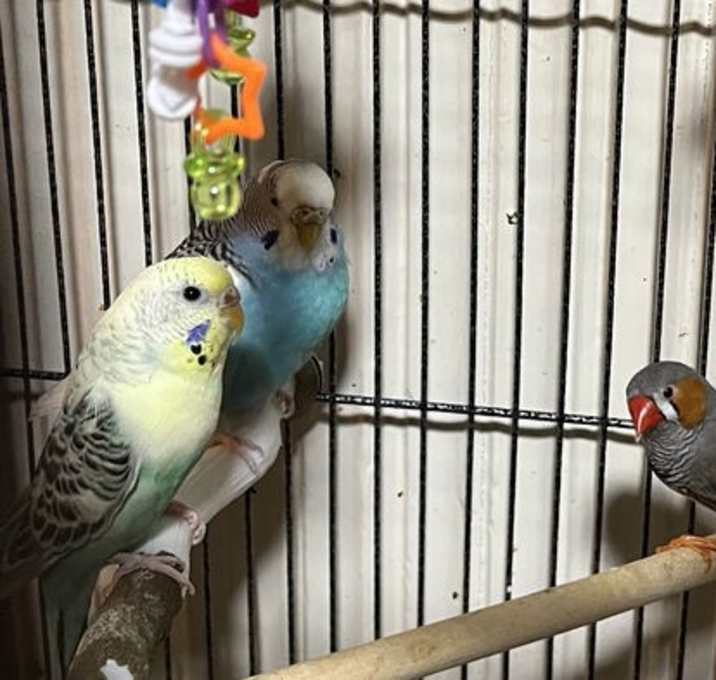 Photo of Sky, Cloud and Fernando
