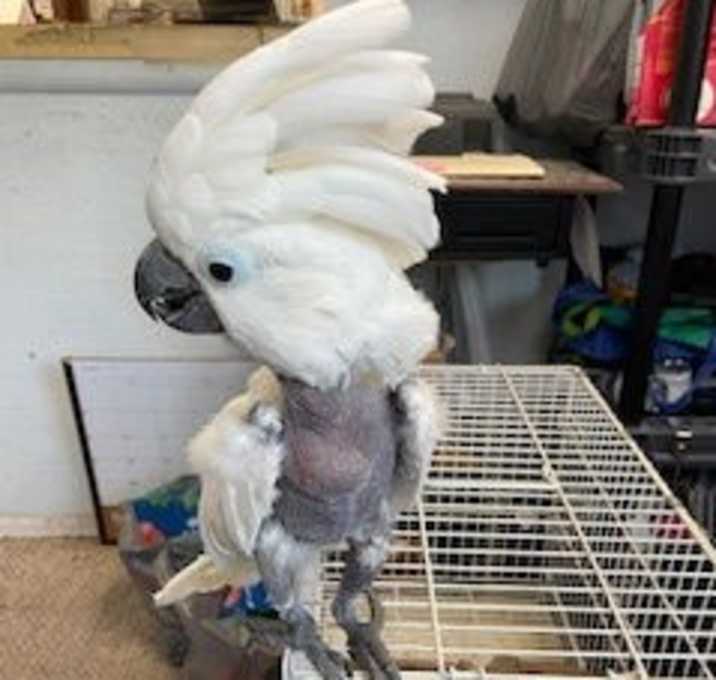 Photo of Baby