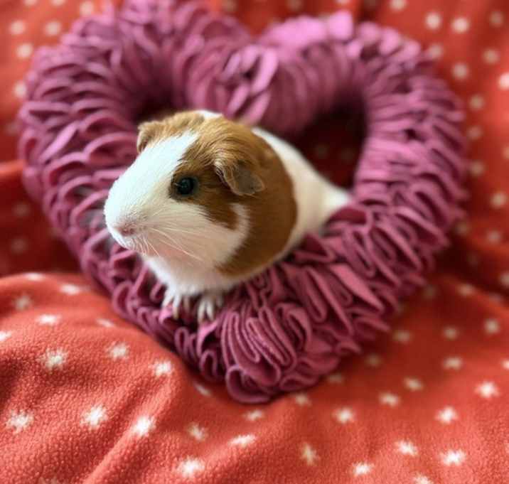Photo of Bolinho