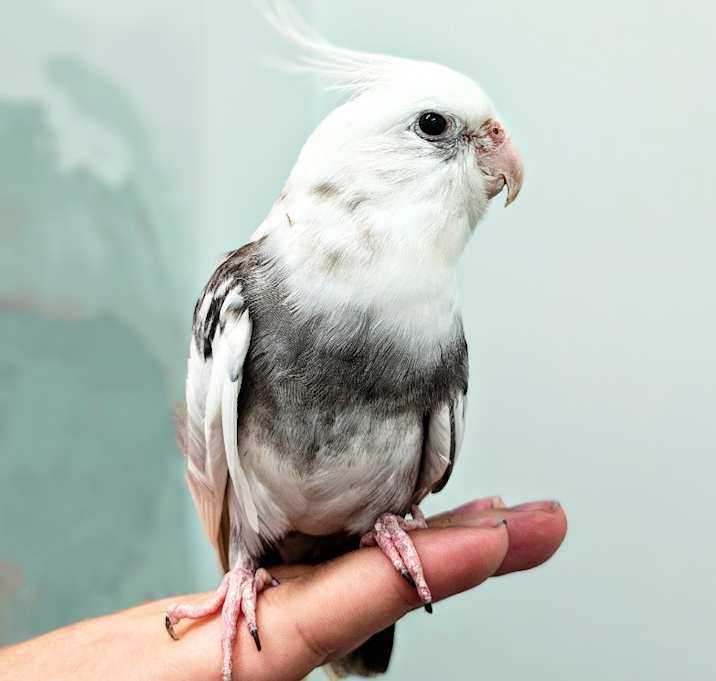 Photo of Andy