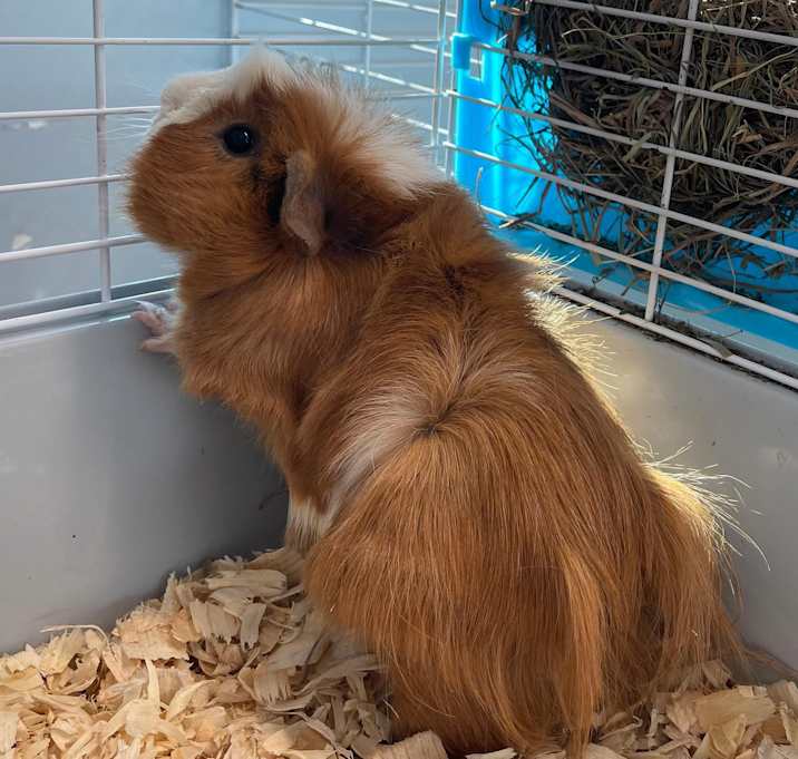 Photo of Roger
