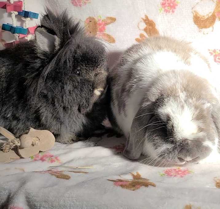 Photo of Louise and Herman