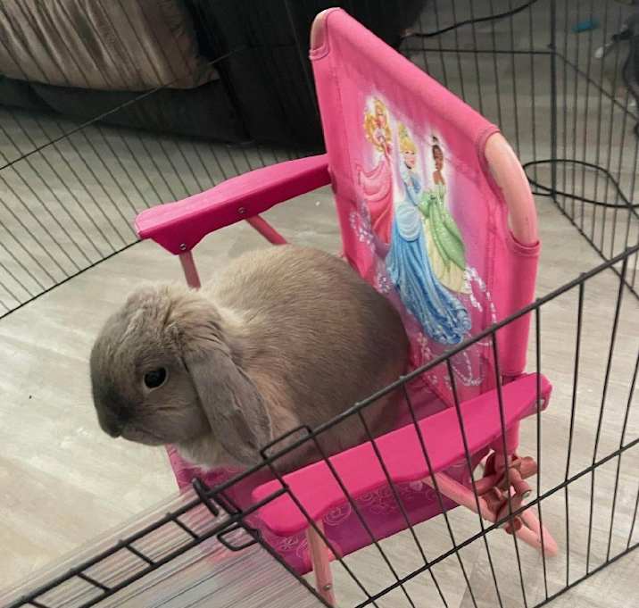 Photo of Sweetheart