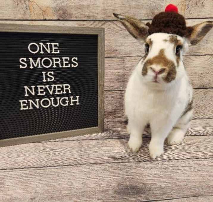 Photo of S'mores
