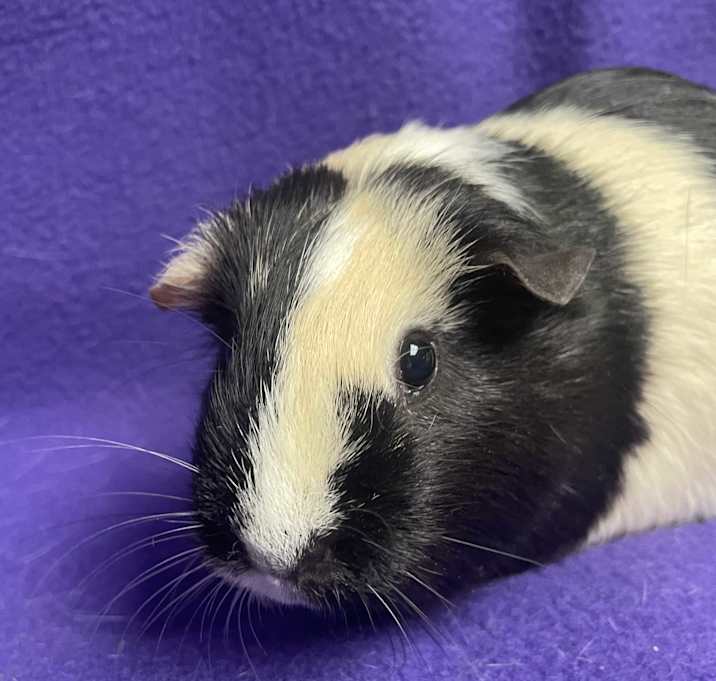 Photo of Baby