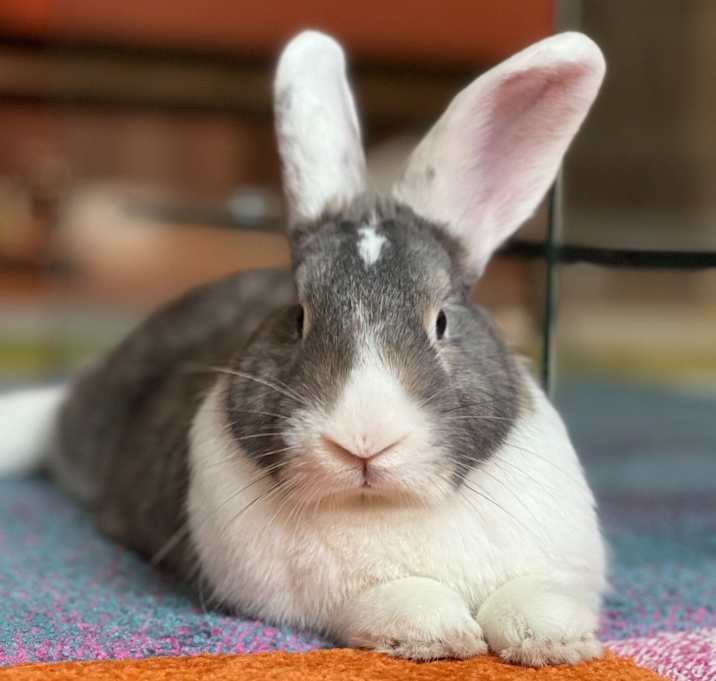 Photo of Jay