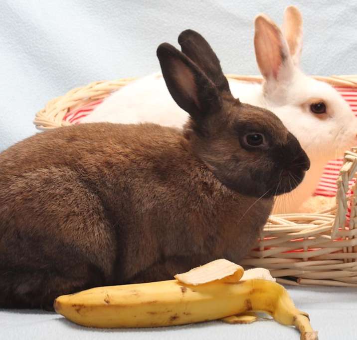 Photo of *CHARLIZE HAREON