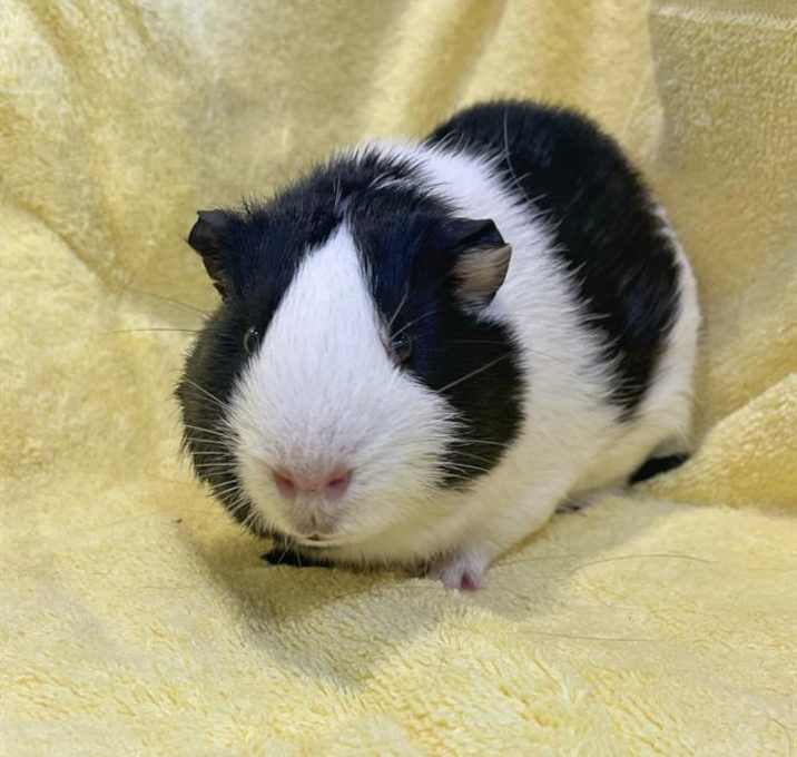 Photo of MUMU