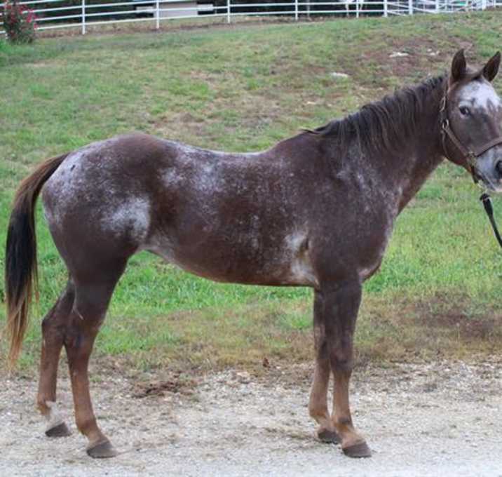 Photo of AJ
