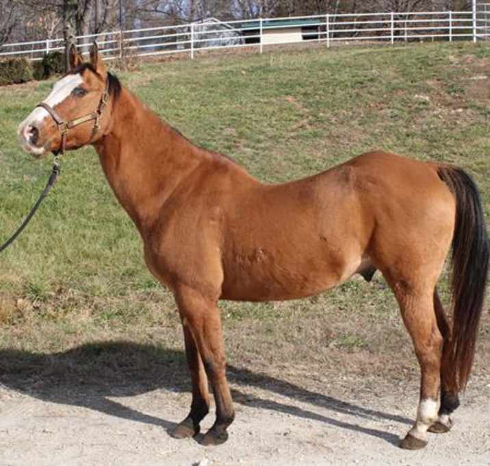 Photo of RUFIO