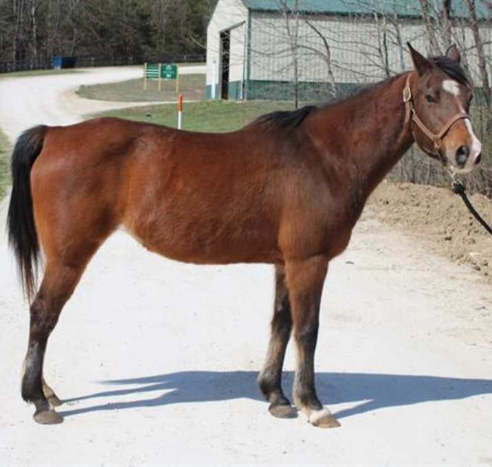 Photo of MABLE