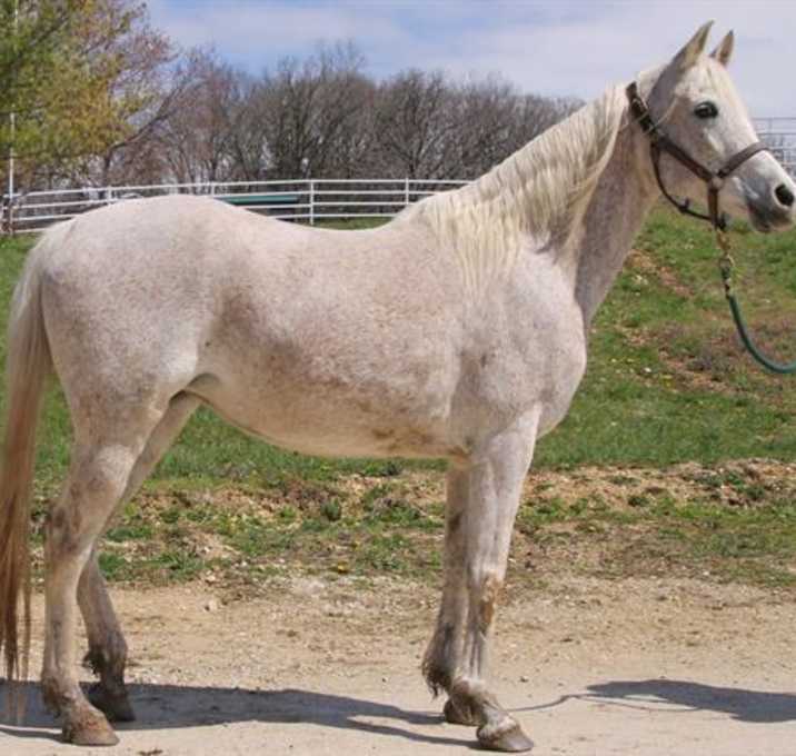 Photo of CLOUD