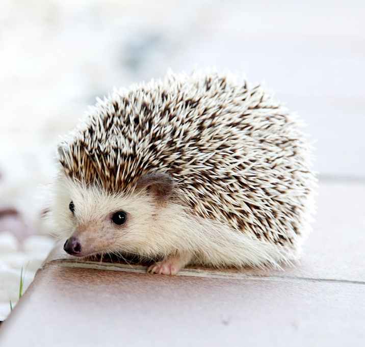 Photo of TEST181224Rab1