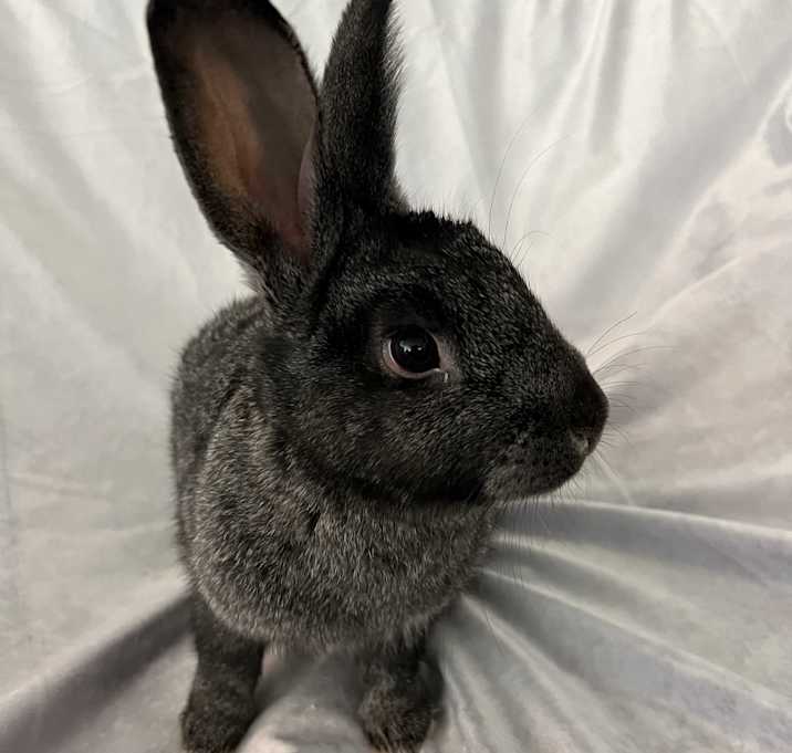 Photo of Little Bit