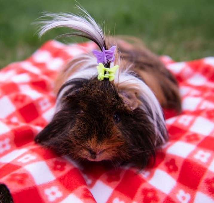 Photo of Billy