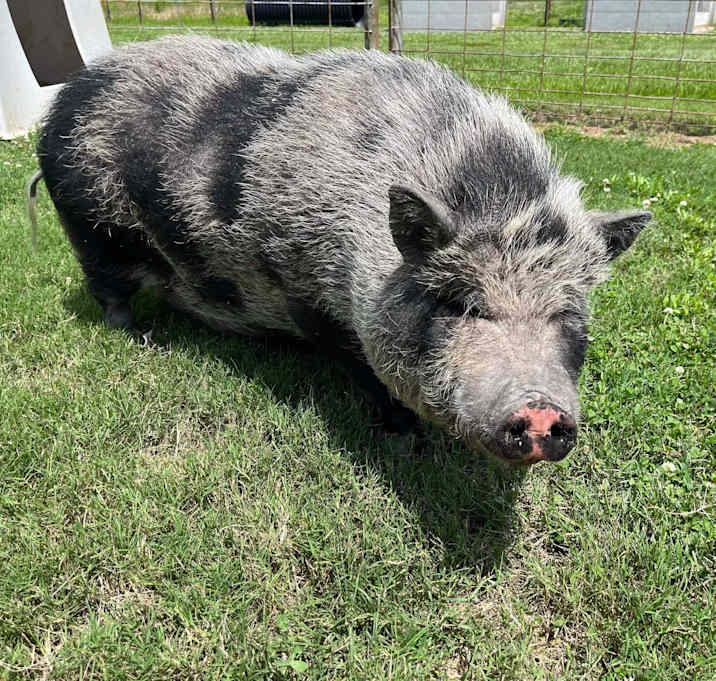 Photo of Charlotte