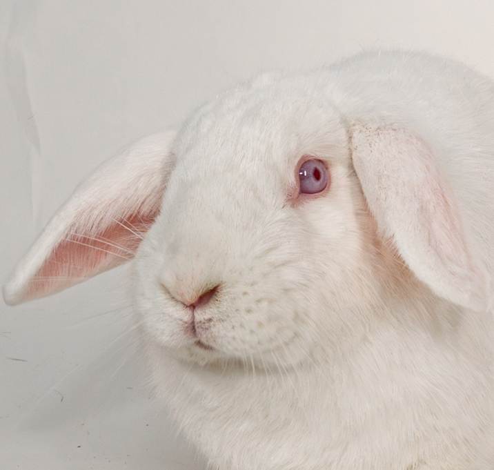 Photo of Gunter