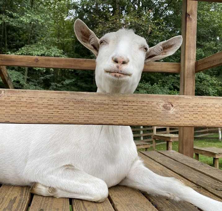 Photo of Victor