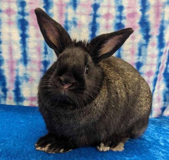 Photo of Edgar