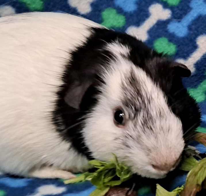 Photo of Parker