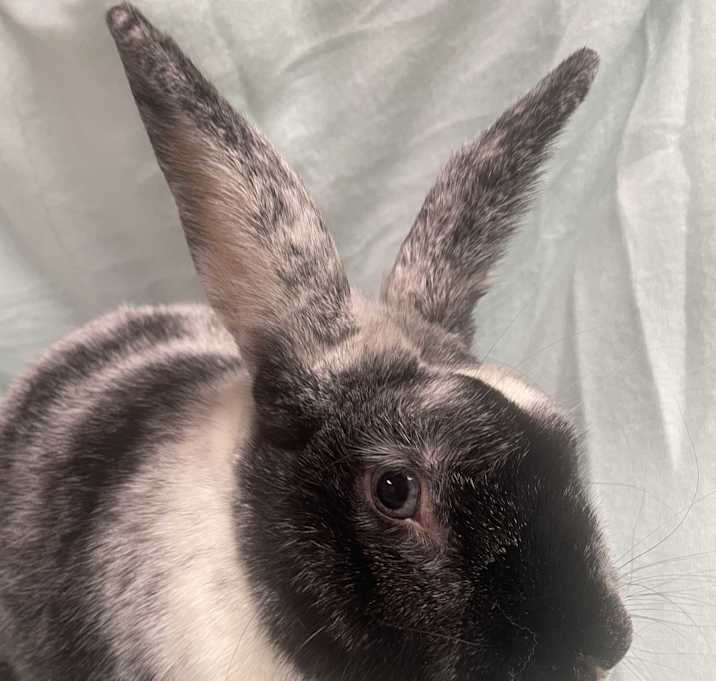 Photo of Xander