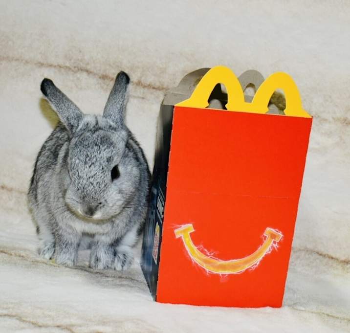 Photo of McMuffin