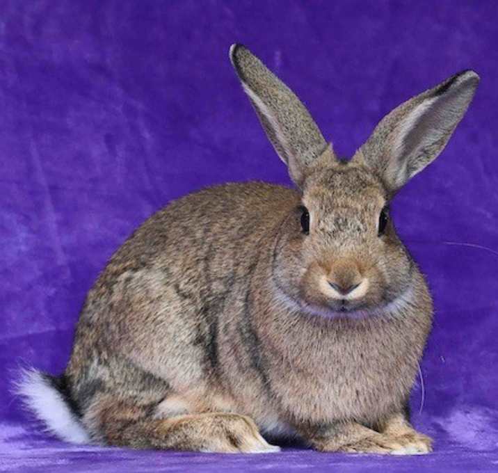 Photo of Delaney