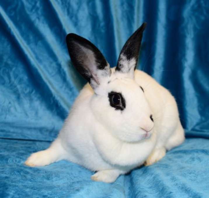 Photo of Simone