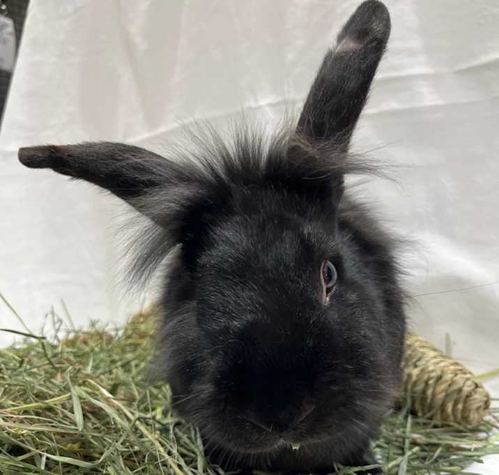 Photo of Edward