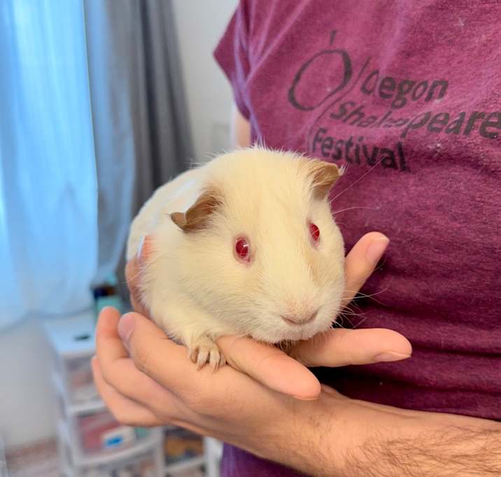 Photo of Dusty