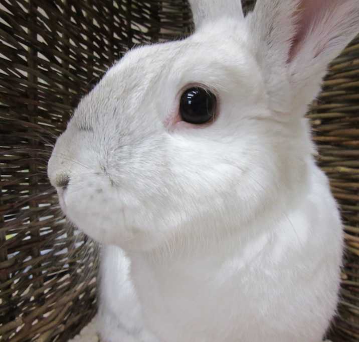 Photo of Ashley