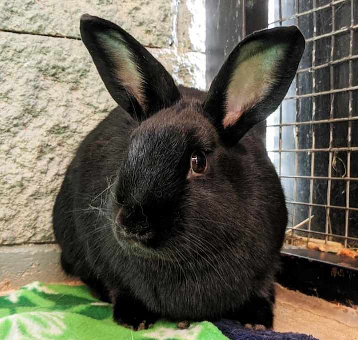 Photo of Twizzler