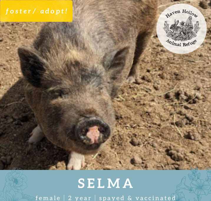 Photo of Selma