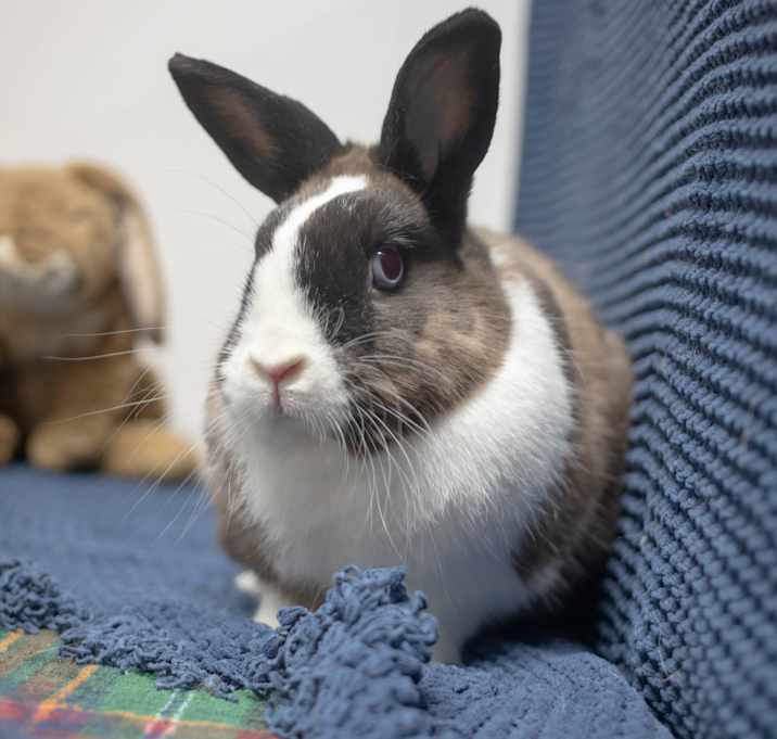 Photo of Boots