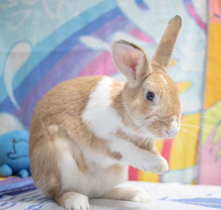Photo of Graham