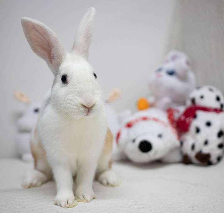 Photo of Busta Bunz