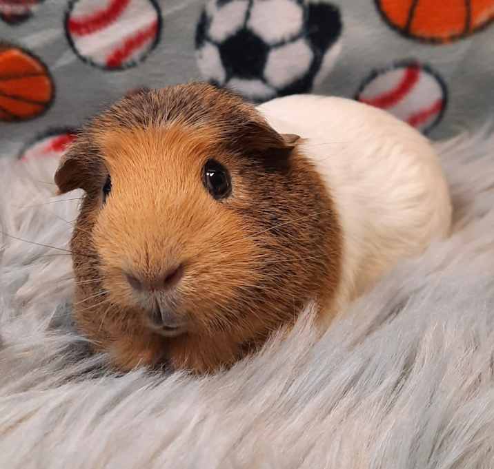 Photo of Lenny
