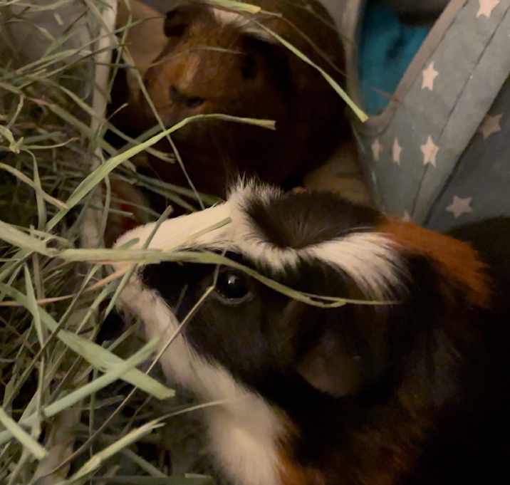 Photo of Levi