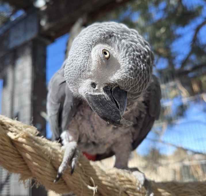 Photo of Oliver