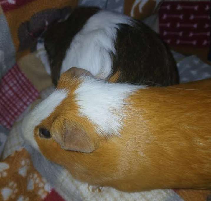 Photo of Arthur