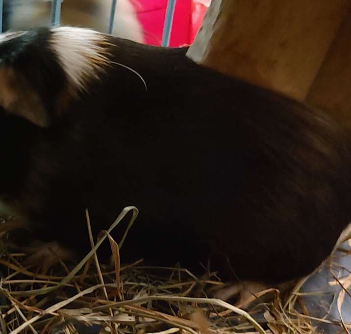 Photo of Mooie